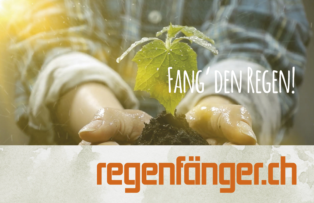 Regenfänger 2.jpg